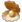 Goods Icon